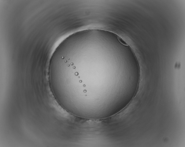 X0000111240912200907091356