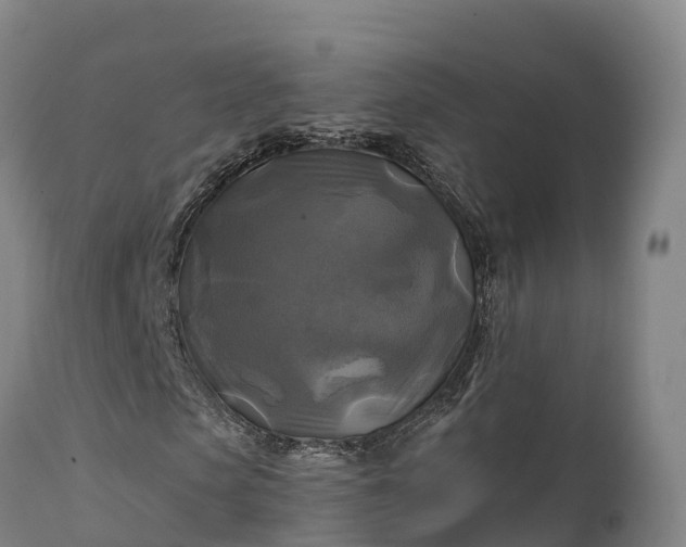 X0000111240913200907091356