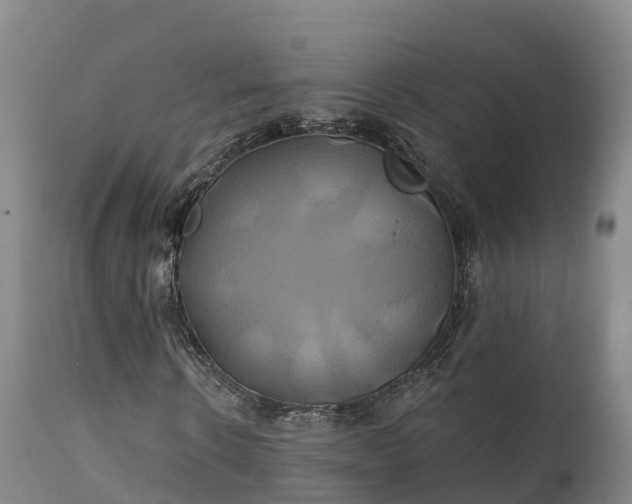 X0000111240914200907091356