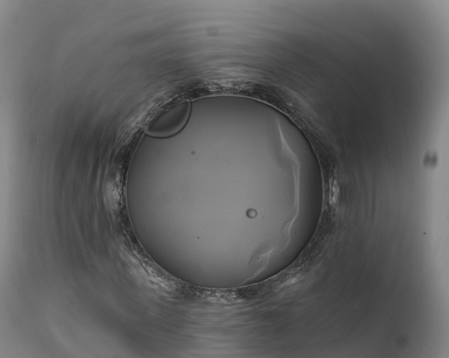 X0000111240915200907091356