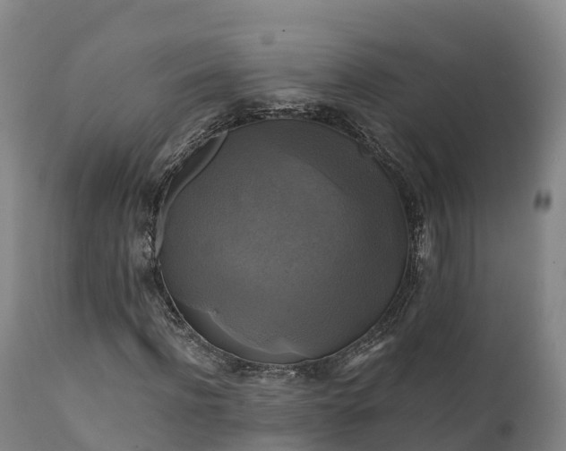 X0000111240916200907091356