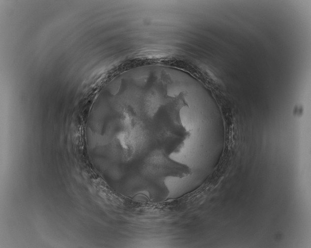 X0000111240917200907091356