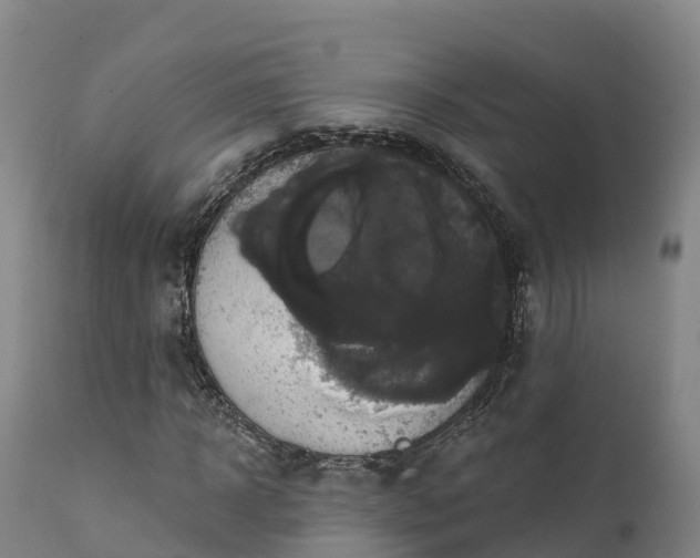 X0000111240918200907091356