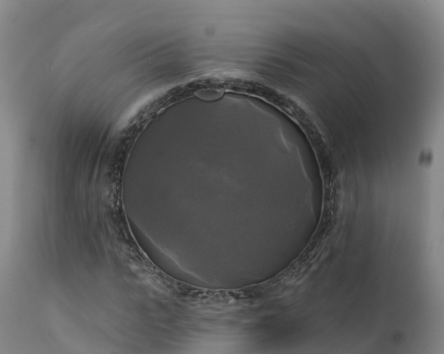 X0000111240919200907091356