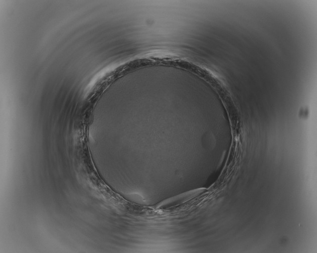 X0000111240920200907091356