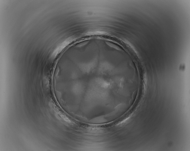 X0000111240921200907091356