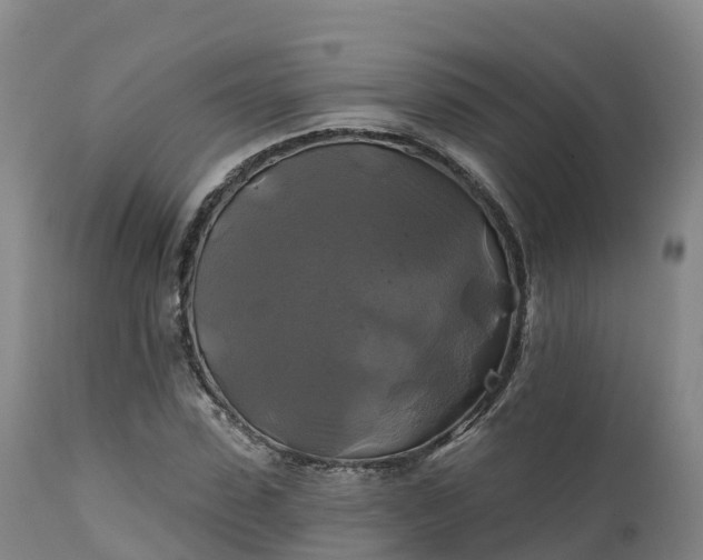 X0000111240923200907091356