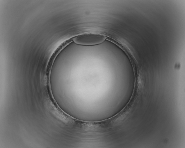 X0000111240924200907091356