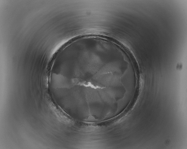 X0000111240925200907091356