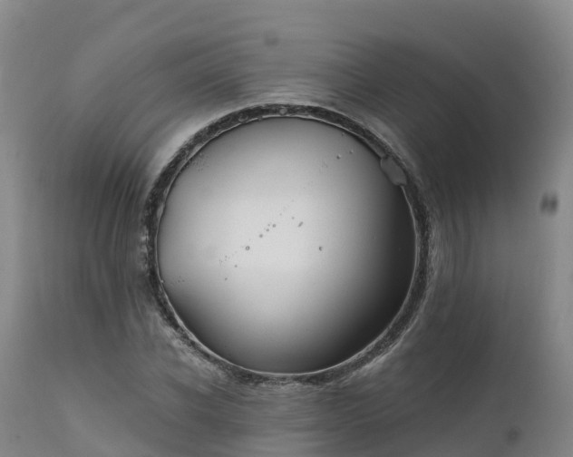 X0000111240926200907091356