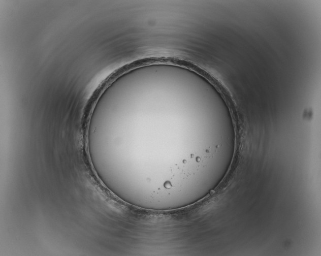 X0000111240927200907091356