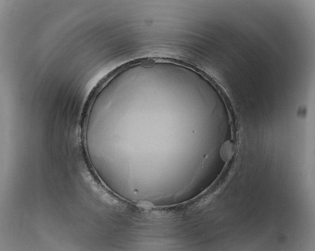 X0000111240928200907091356