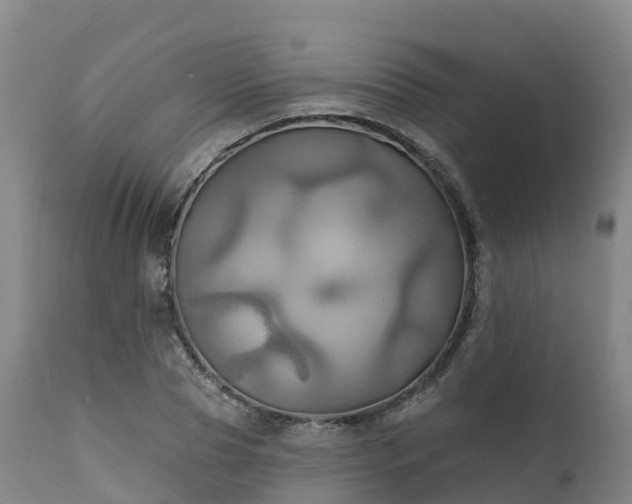 X0000111240929200907091356