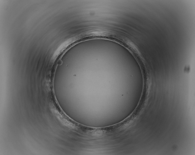 X0000111240930200907091356