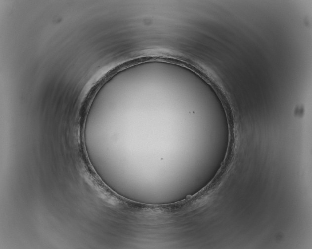 X0000111240931200907091356