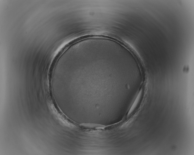 X0000111240932200907091356