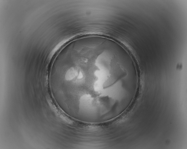 X0000111240933200907091356