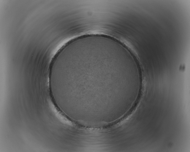 X0000111240934200907091356