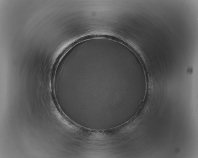 X0000111240935200907091356