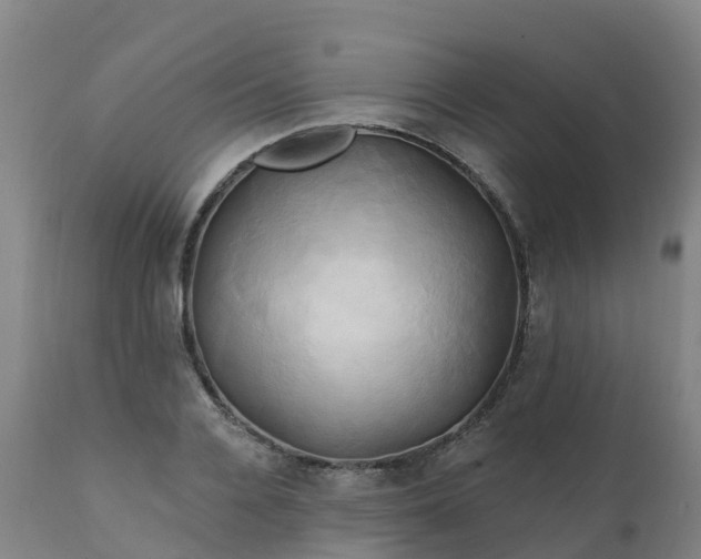 X0000111240936200907091356