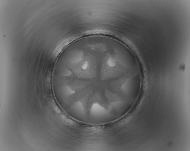 X0000111240937200907091356