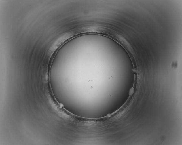 X0000111240938200907091356