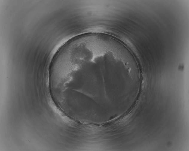 X0000111240939200907091356