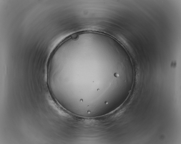 X0000111240940200907091356