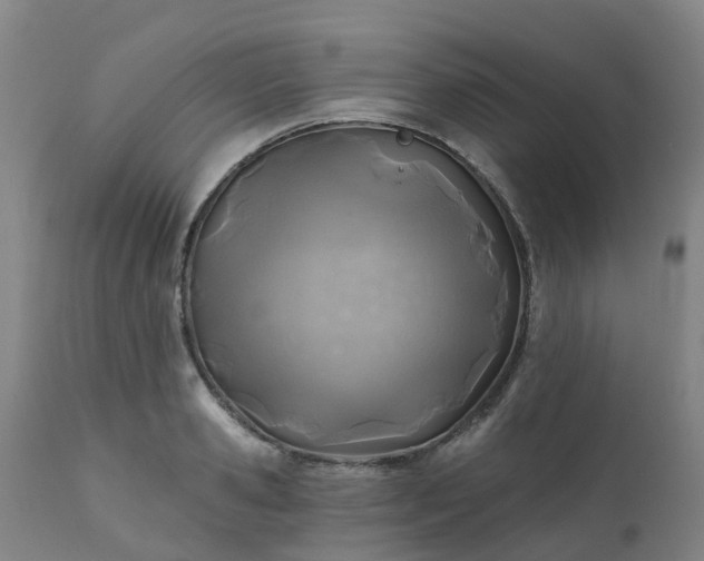 X0000111240941200907091356