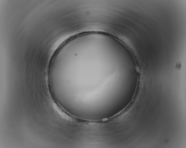 X0000111240942200907091356