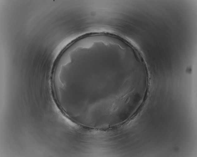 X0000111240943200907091356