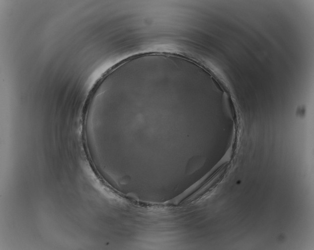 X0000111240944200907091356