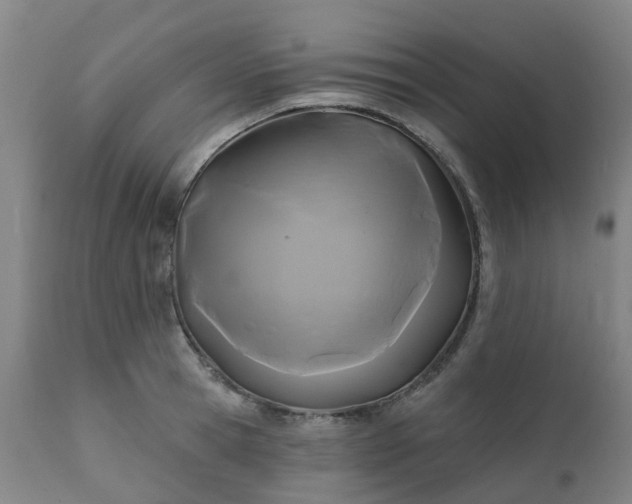 X0000111240945200907091356