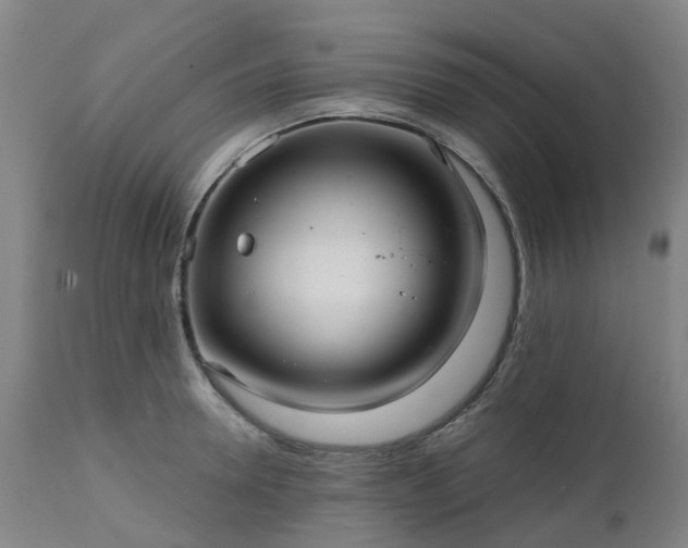 X0000111240946200907091356