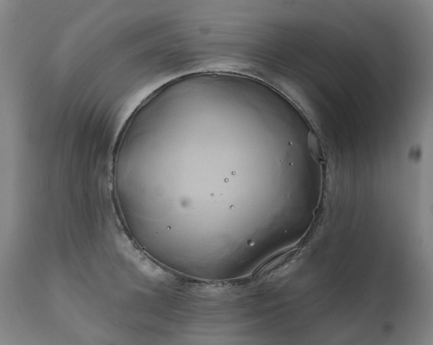 X0000111240948200907091356