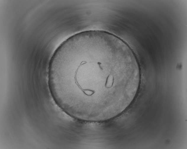 X0000111240950200907091356