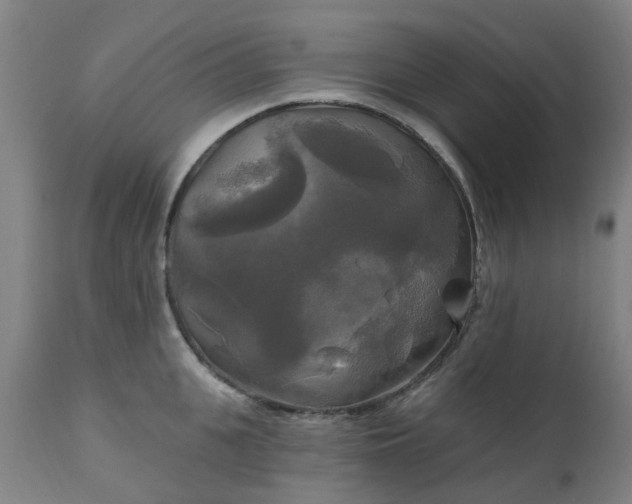 X0000111240951200907091356