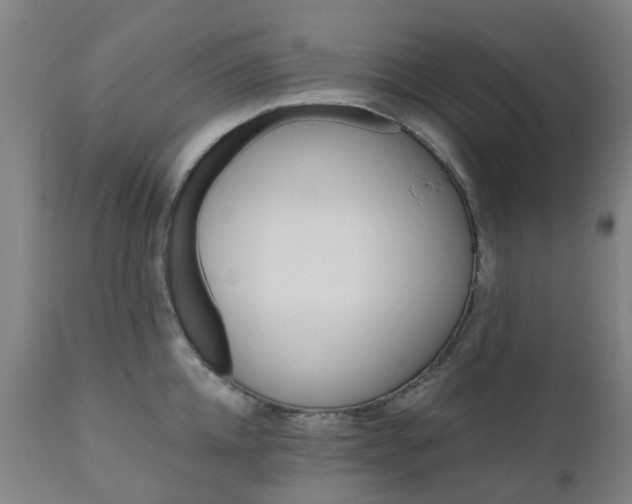 X0000111240952200907091356