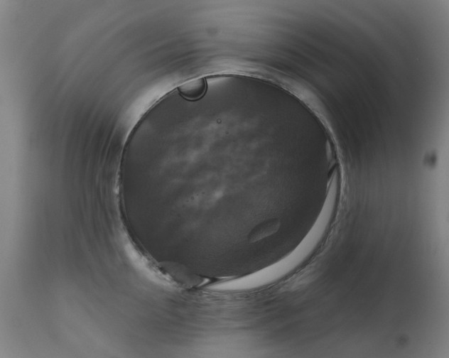 X0000111240954200907091356