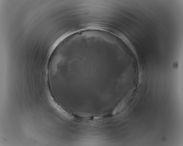 X0000111240955200907091356