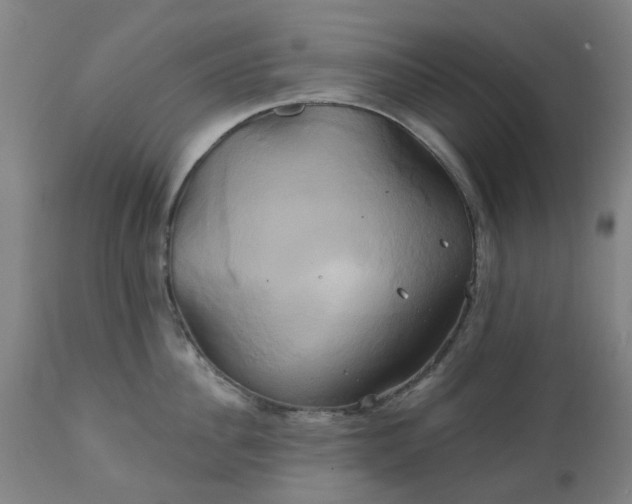 X0000111240956200907091356