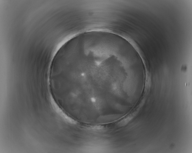 X0000111240957200907091356