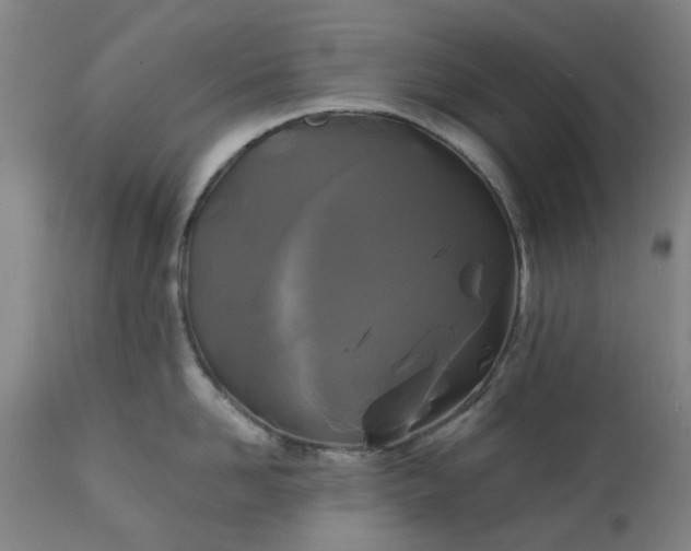 X0000111240958200907091356