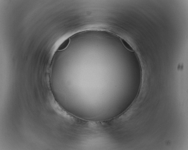 X0000111240960200907091356