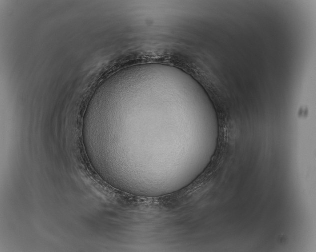 X0000111240961200907091356