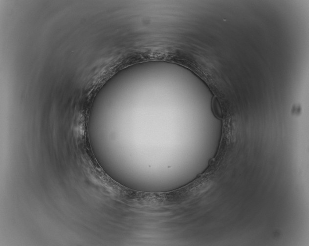 X0000111240962200907091356