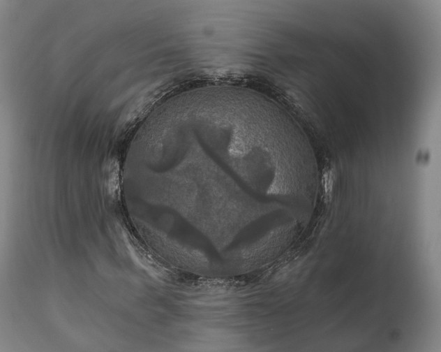 X0000111240963200907091356