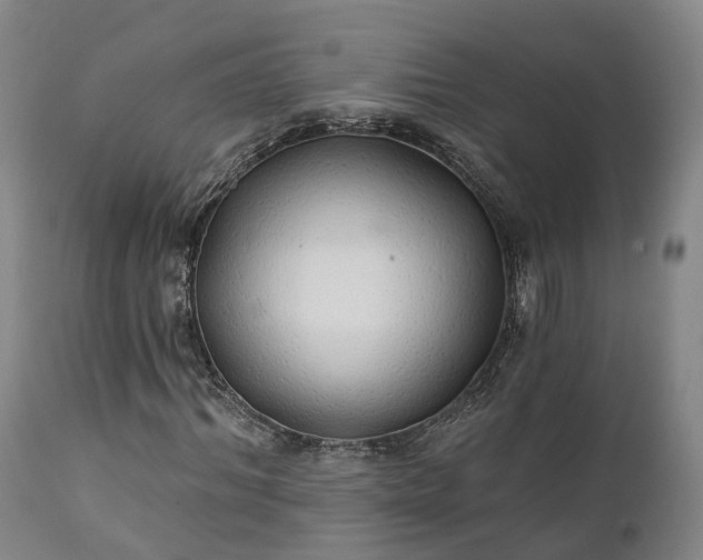 X0000111240964200907091356