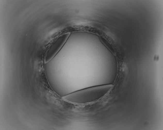 X0000111240965200907091356