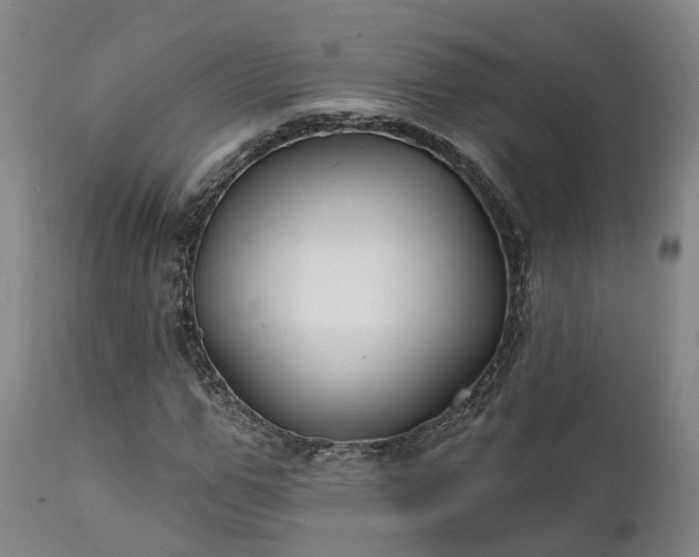 X0000111240967200907091356